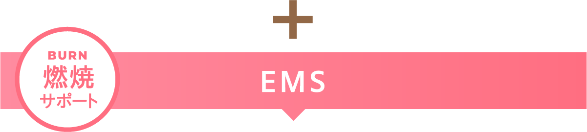 燃焼：EMS