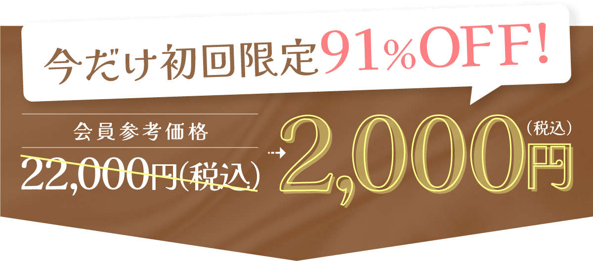 今だけ初回限定91%OFF!1,000円（税込）